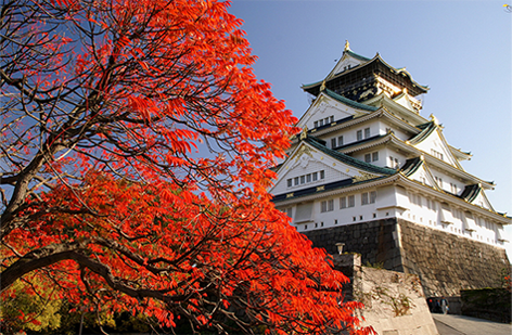 Nagahama Castle