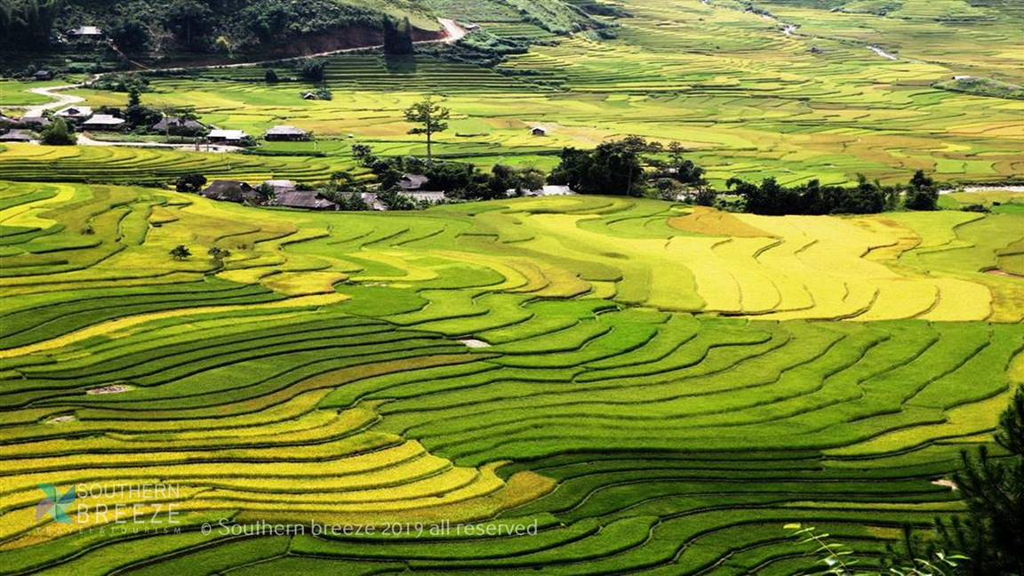 GINATOUR tuyển Cộng Tác Viên Sales Tours