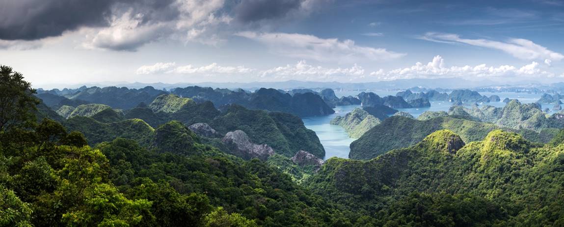 GINATOUR tuyển Cộng Tác Viên Sales Tours