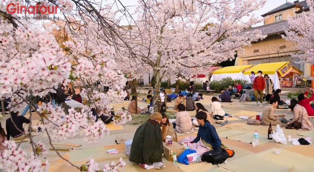 To-chuc-picnic-tiec-tra (2)