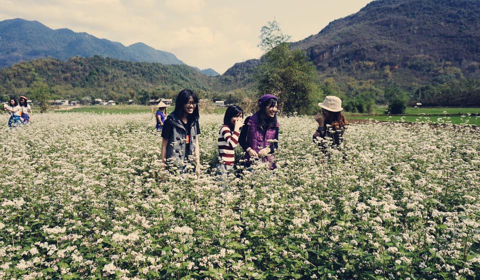 HÌNH ẢNH MỘC CHÂU - MAI CHÂU