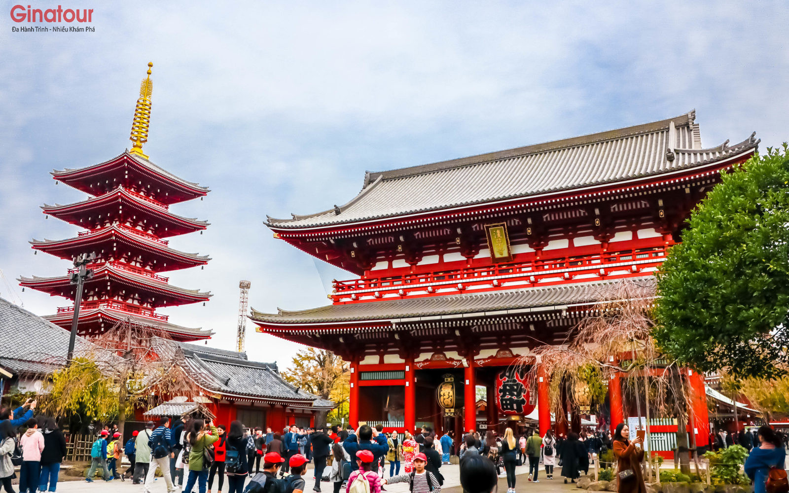 Chùa Asakusa mùa lá đỏ