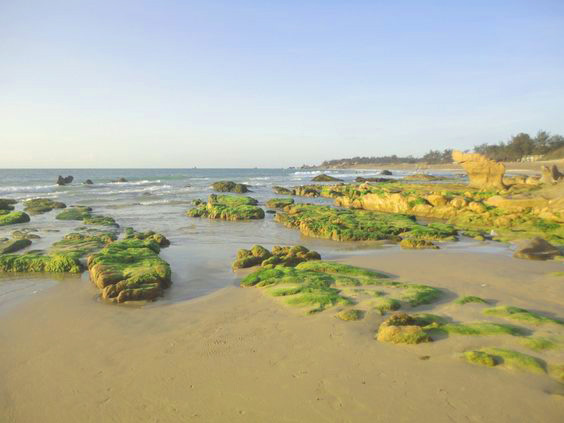 phan thiet co gi choi 10