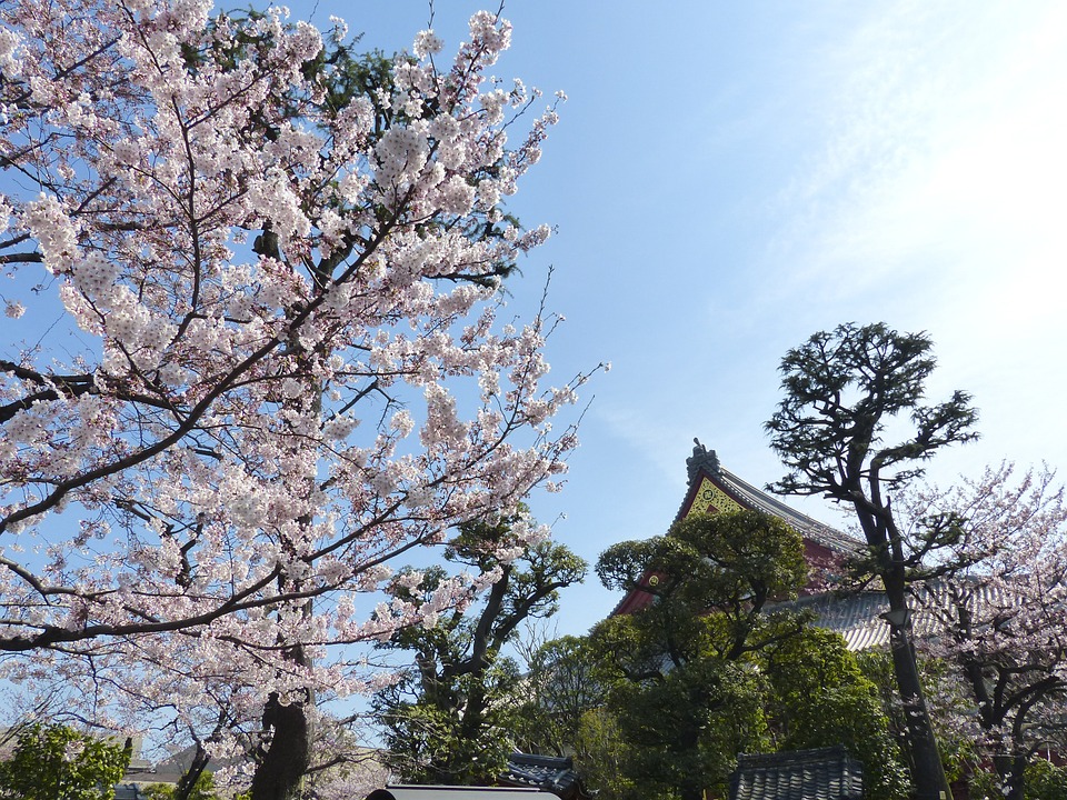 Hoàng cung Tokyo