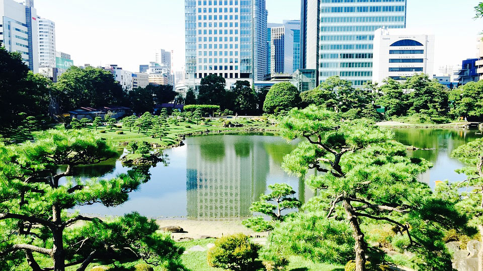 du lich tokyo 6
