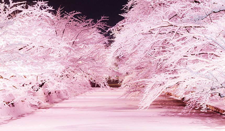 hirosaki17