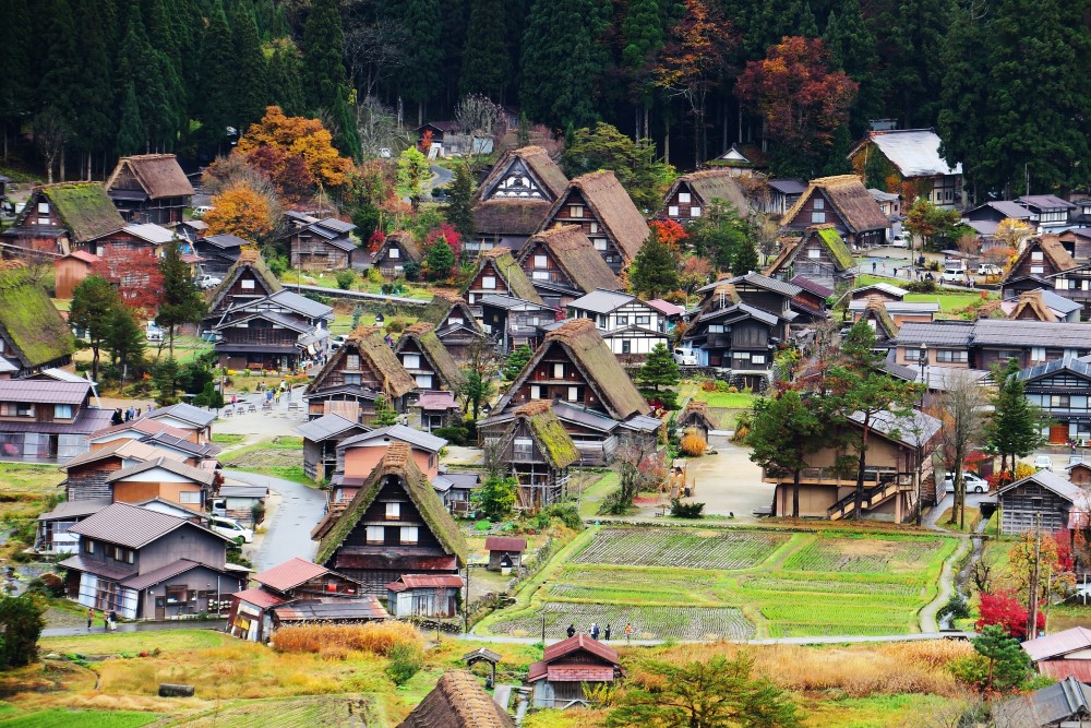 Du lịch Nhật Bản: ĐÀ NẴNG - NAGOYA - SHIRAKAWAGO - TAKAYAMA - GUJO - KYOTO - OSAKA