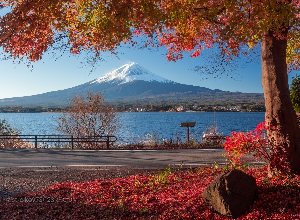 Cung đường vàng mùa lá đỏ 6N5Đ: Tokyo - Kyoto - Osaka từ Sài Gòn