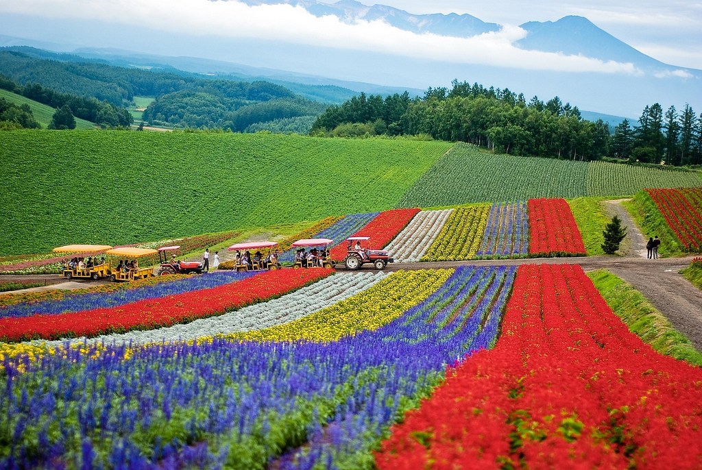 Tour Hokkaido: Cung đường bạch kim Nhật Bản