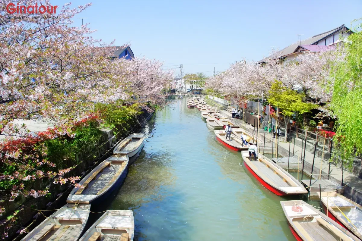 Tour mùa đông nhât bản: FUKUOKA – KUMAMOTO – KAGOSHIMA – KITAKYUSHU