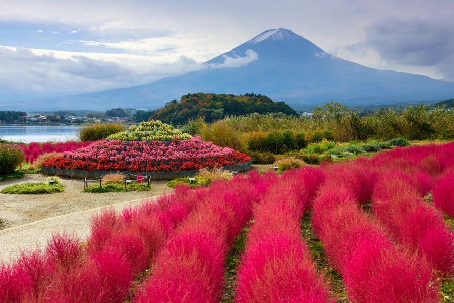 Ngây ngất sắc đỏ mùa thu Nhật Bản: Tokyo - Yamanashi - Nagoya - Kyoto - Osaka