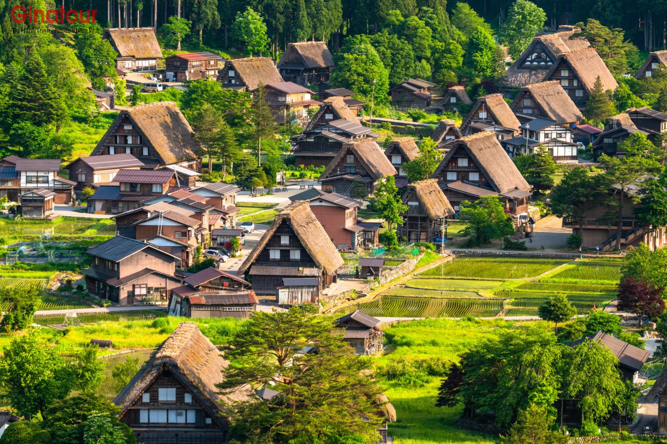 Tour Nhật Bản tháng 8: Charter Đà Nẵng - Nagoya