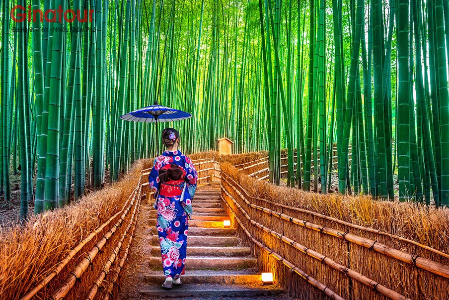 Tour nhật bản tháng 12 - Charter Đà Nẵng - Nagoya
