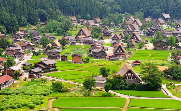Sắc hoa Nhật Bản: OSAKA – NARA – KYOTO – GIFU – NAGANO