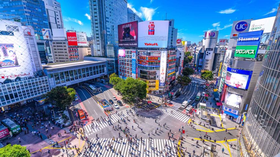 Khám Phá Nhật Bản Cung Đường Vàng 2026