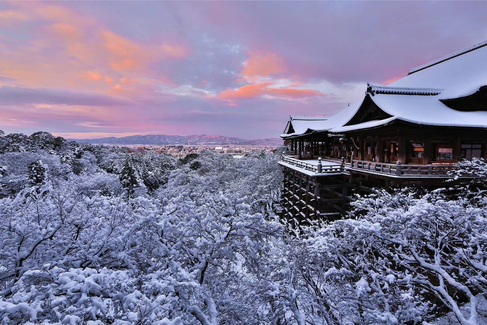 Đón Năm Mới Charter Nguyên Chuyến Khám Phá Nhật Bản: OSAKA - KYOTO - KOBE