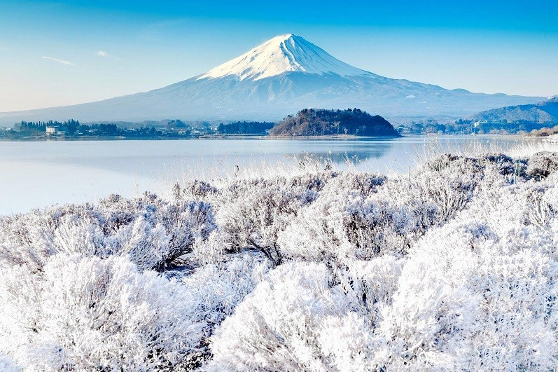 Đón Năm Mới 2027 Charter Nguyên Chuyến Khám Phá Nhật Bản: OSAKA – PHÚ SĨ – NAGOYA - KYOTO
